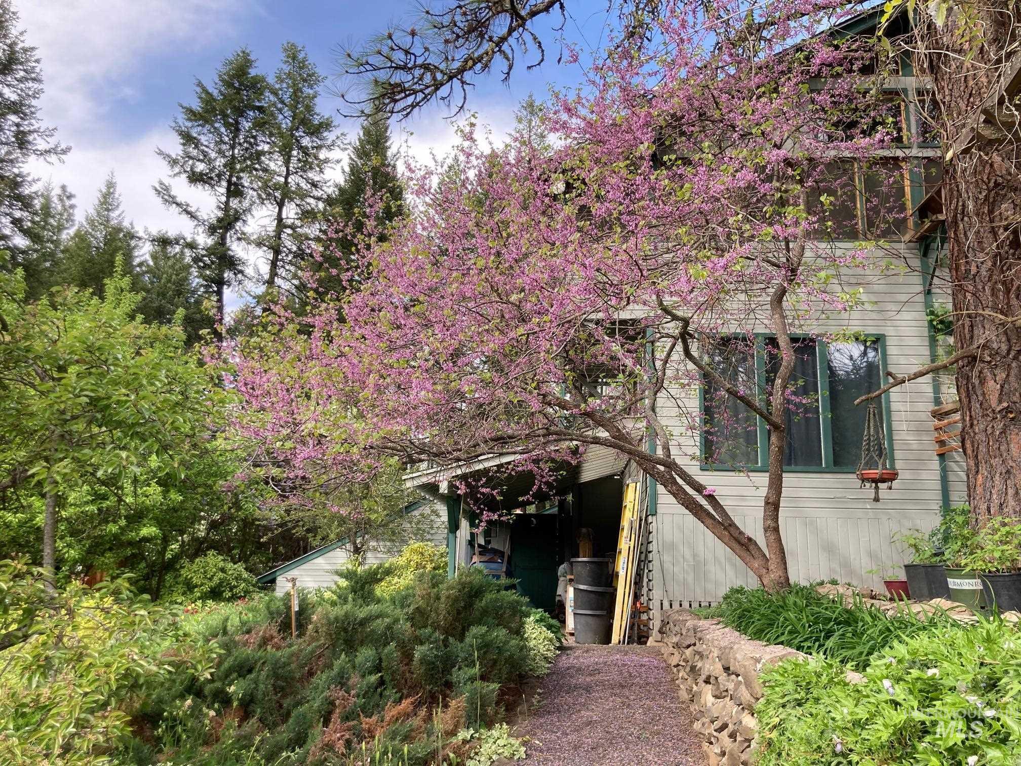 266 Falcon Ridge Road Kooskia, ID 83539 - Photo 38 of 50 Exterior siding featuring horizontal panels a well as flowering garden trees