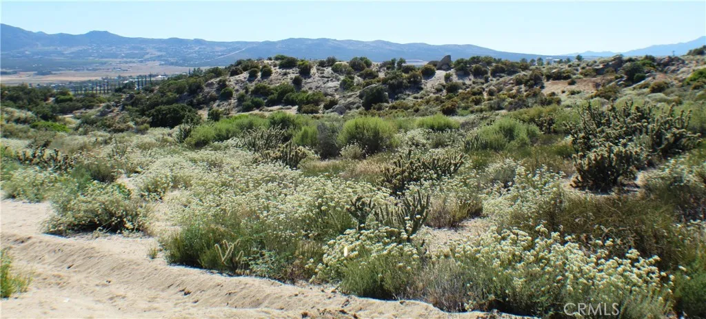 42560 Labrinia Anza, CA 92539 - Photo 12 of 22 a view of a forest with mountains in the background