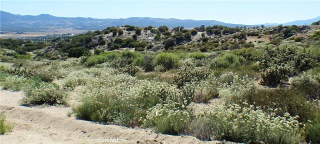 $90,000 | 42560 Labrinia, Anza, CA 92539