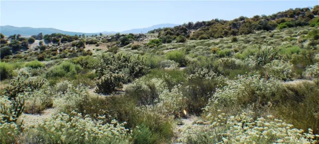 $90,000 | 42560 Labrinia, Anza, CA 92539