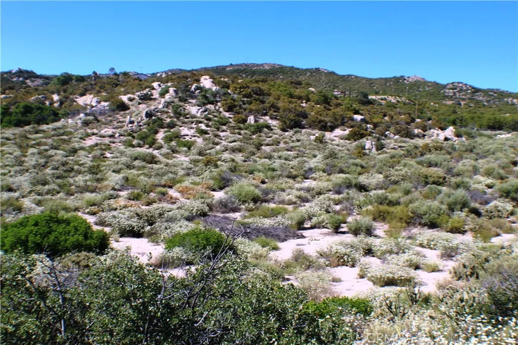 42560 Labrinia Anza, CA 92539 - Photo 18 of 22