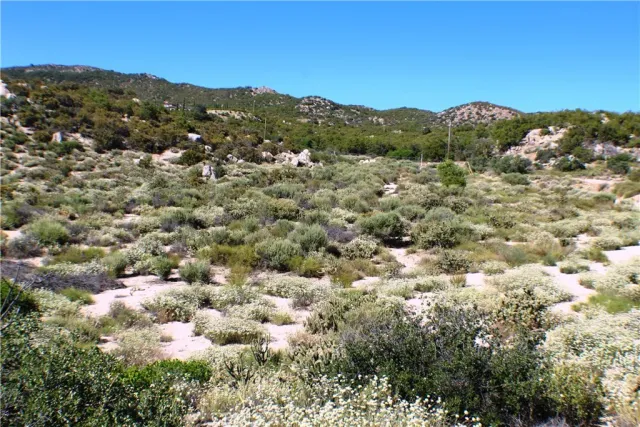 $90,000 | 42560 Labrinia, Anza, CA 92539