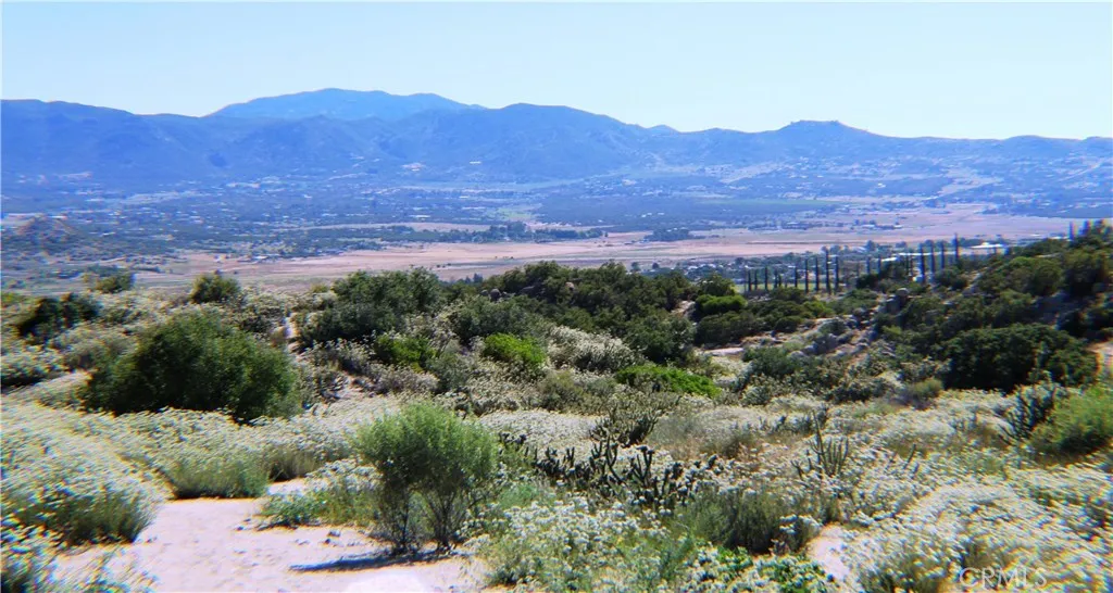 42560 Labrinia Anza, CA 92539 - Photo 20 of 22 a view of a lush green hillside and houses