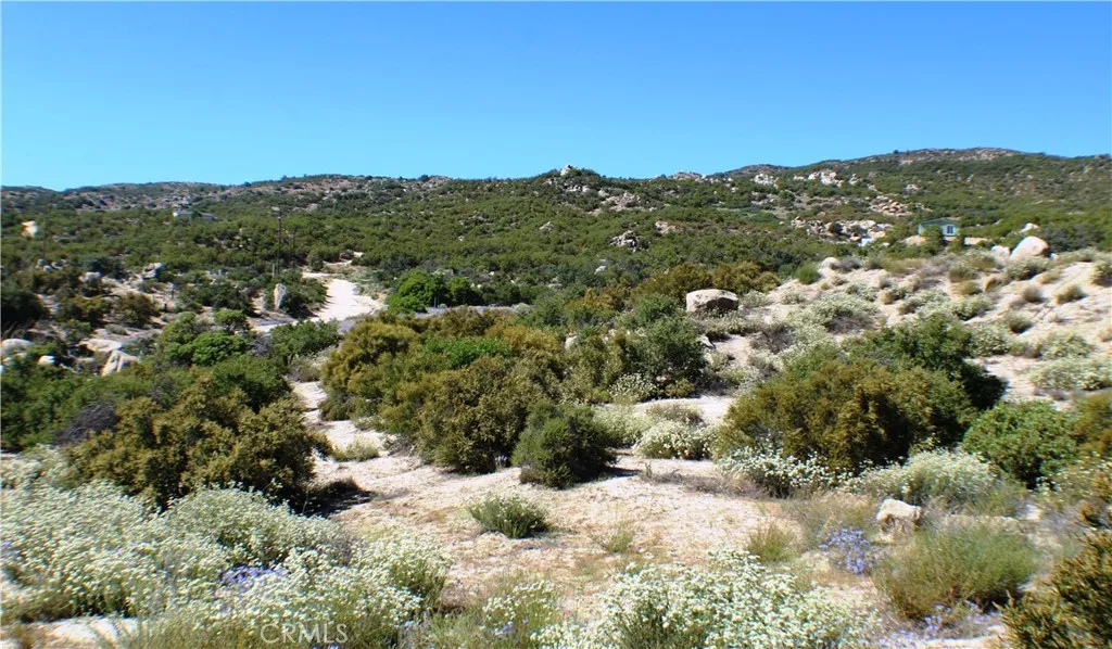 42560 Labrinia Anza, CA 92539 - Photo 9 of 22 a view of a city