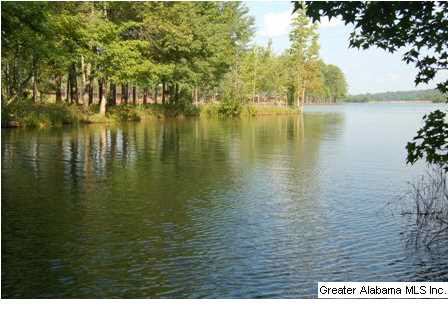 New Harmony Road, Unit 2 Lineville, AL 36266 - Photo 1 of 16