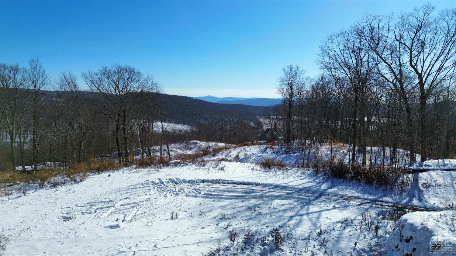 67 Taconic Creek Road Hillsdale, NY 12529 - Photo 12 of 20 a view of a backyard with a large tree