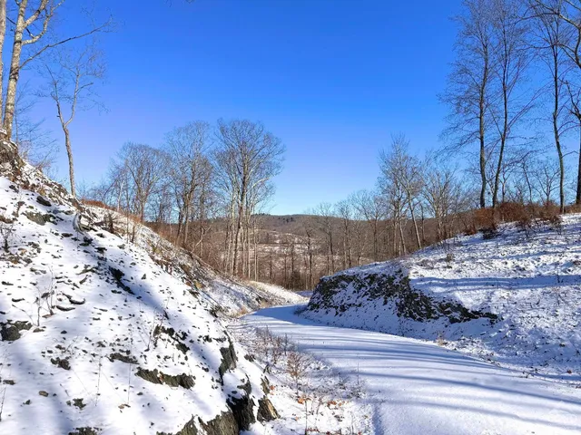 a view of a yard and a tree