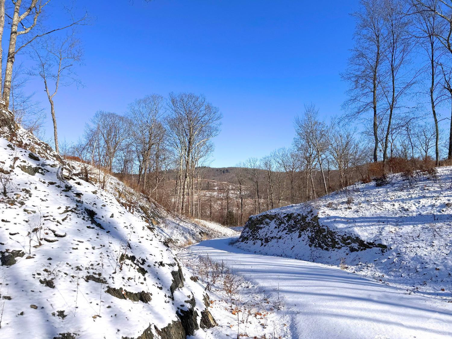 67 Taconic Creek Road Hillsdale, NY 12529 - Photo 14 of 20 a view of a yard and a tree