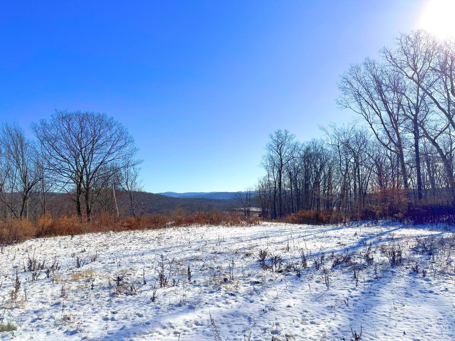 67 Taconic Creek Road Hillsdale, NY 12529 - Photo 15 of 20 a view of snow covered with snow