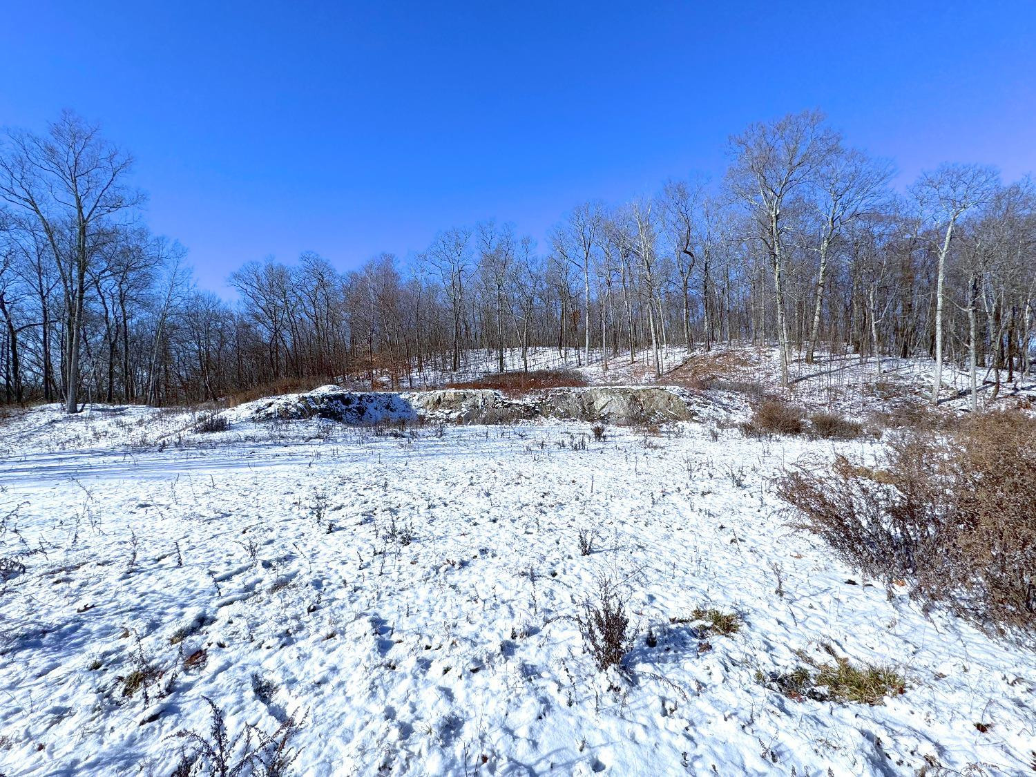 67 Taconic Creek Road Hillsdale, NY 12529 - Photo 16 of 20 a view of covered with snow