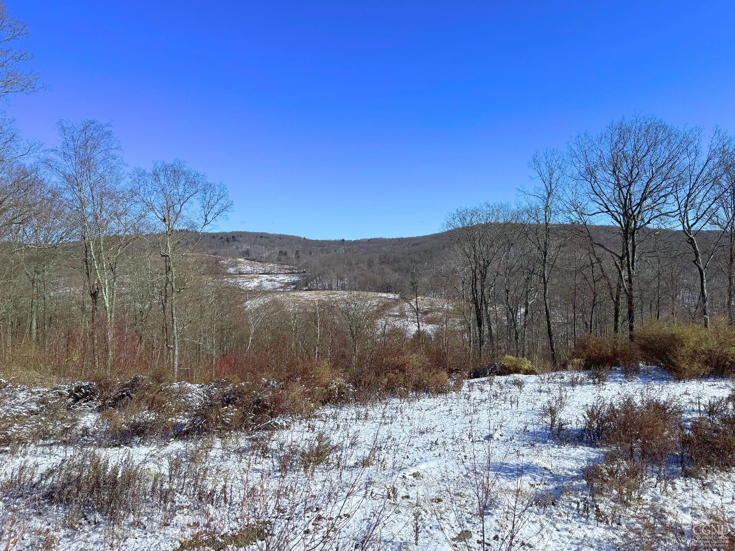 67 Taconic Creek Road Hillsdale, NY 12529 - Photo 17 of 20 a view of a backyard