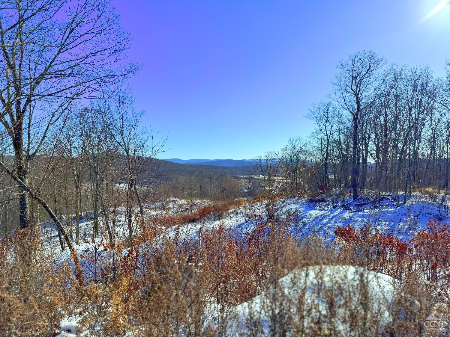 67 Taconic Creek Road Hillsdale, NY 12529 - Photo 19 of 20 a view of a yard with a tree