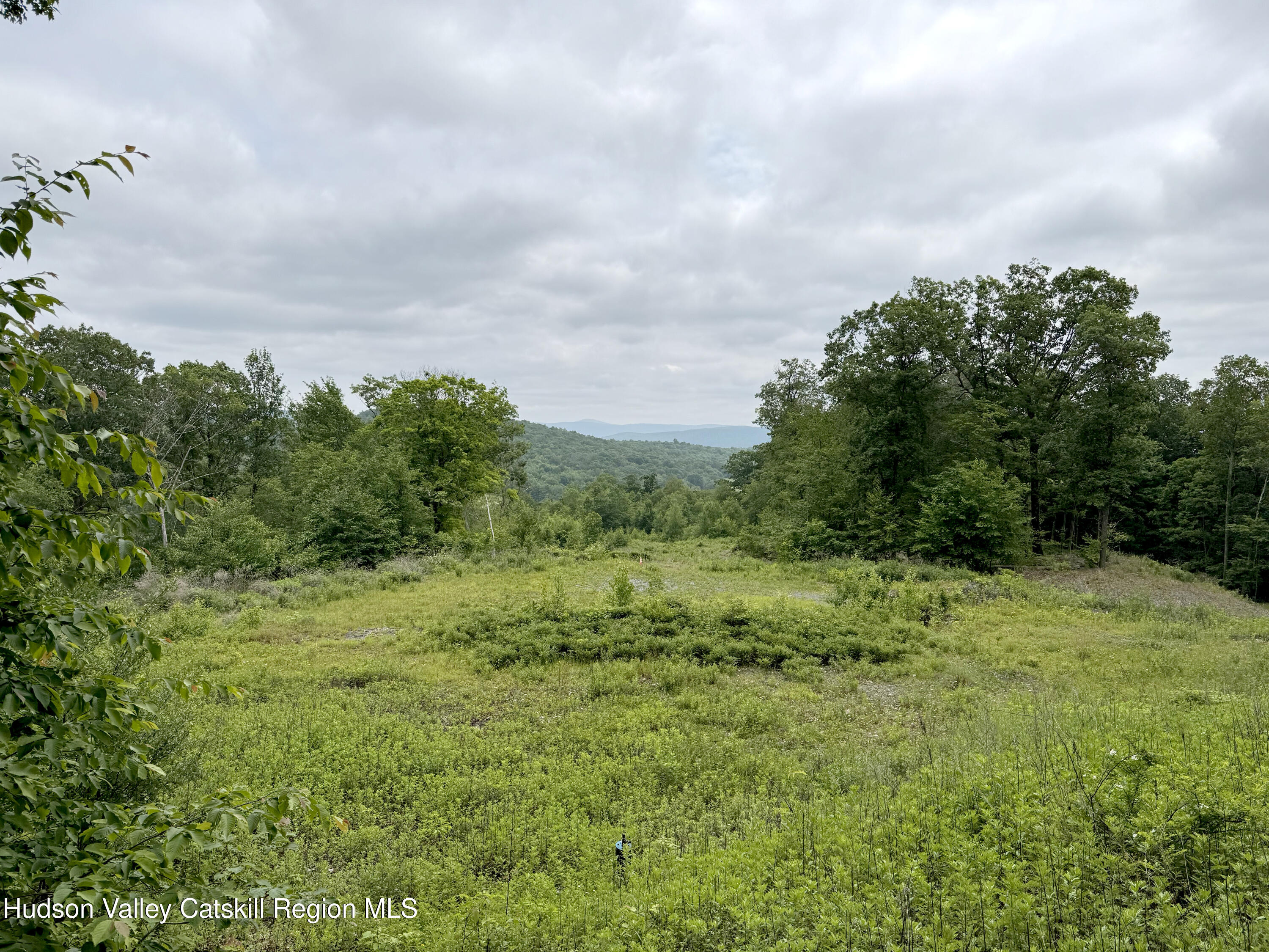 67 Taconic Creek Road Hillsdale, NY 12529 - Photo 2 of 20 a view of a big yard with large trees