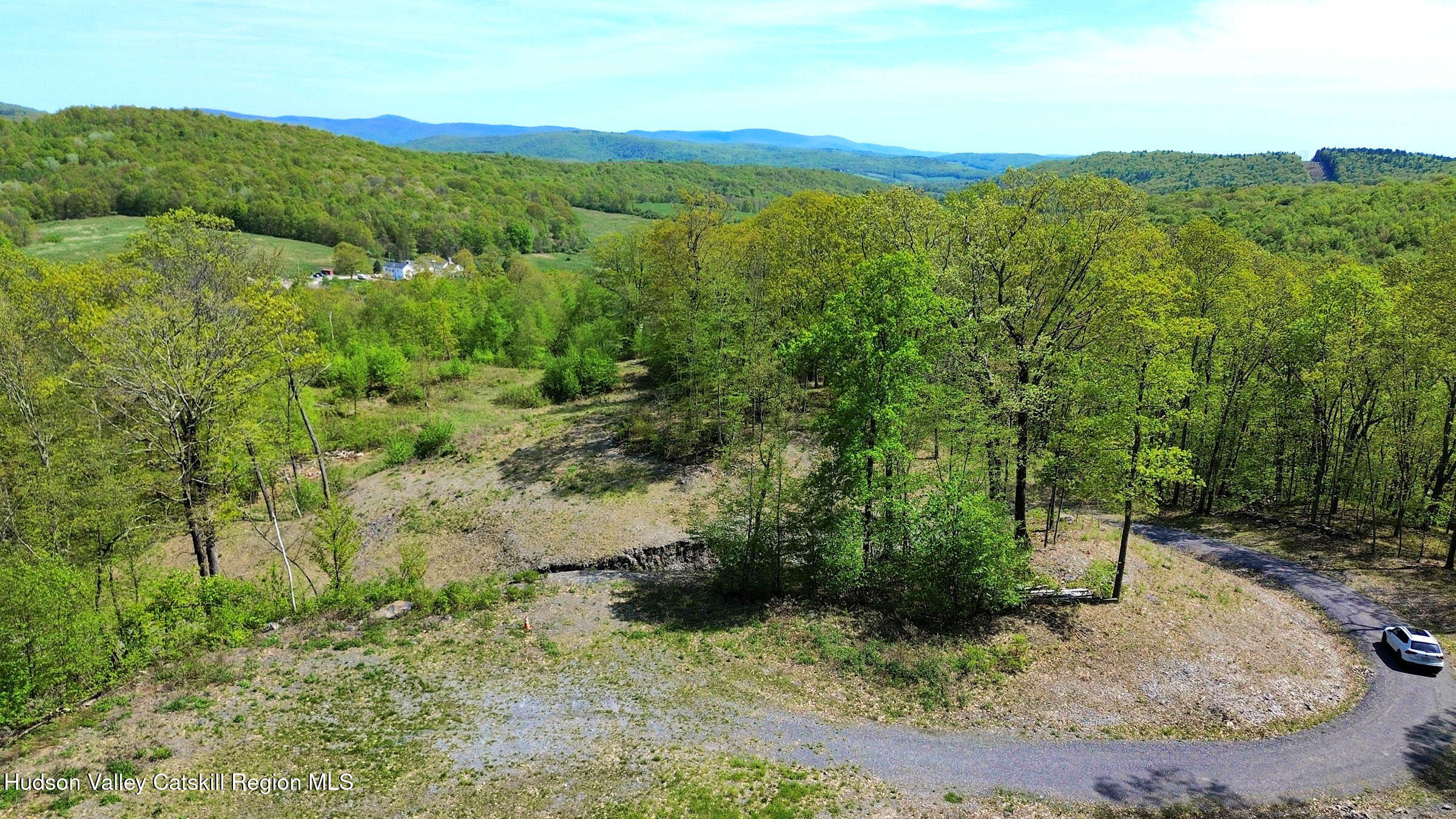 67 Taconic Creek Road Hillsdale, NY 12529 - Photo 3 of 20 a view of a lush green field with lots of bushes