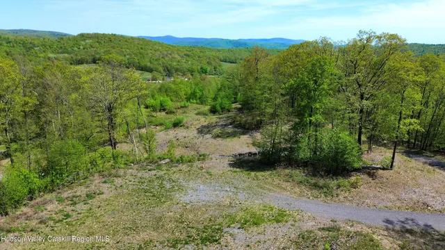 a view of a lush green forest with trees in the background