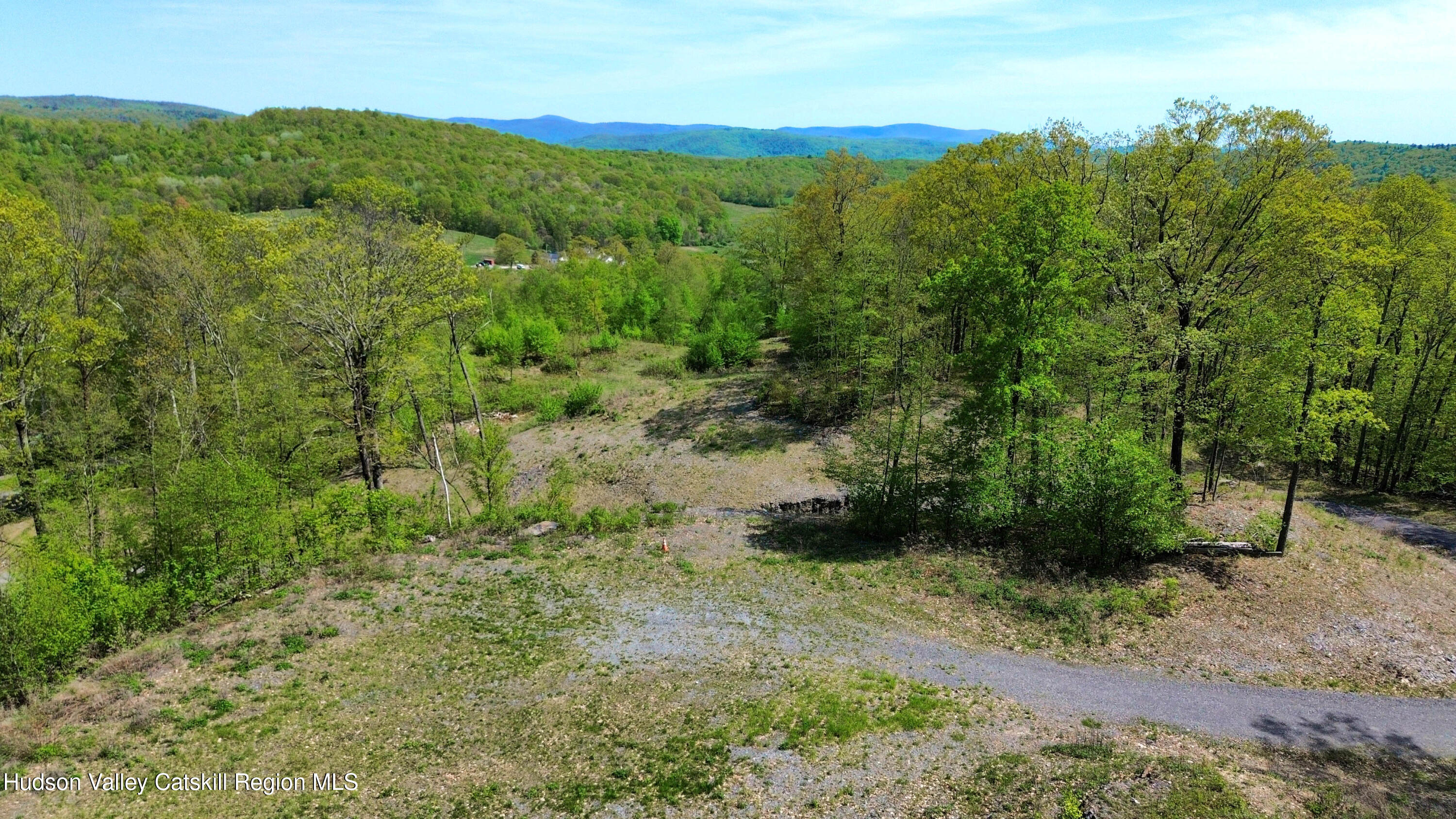 67 Taconic Creek Road Hillsdale, NY 12529 - Photo 4 of 20 a view of a lush green forest with trees in the background