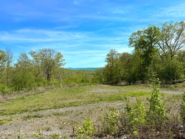a view of a field with an ocean