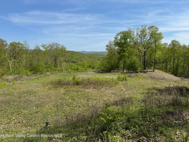 a big yard with lots of green space