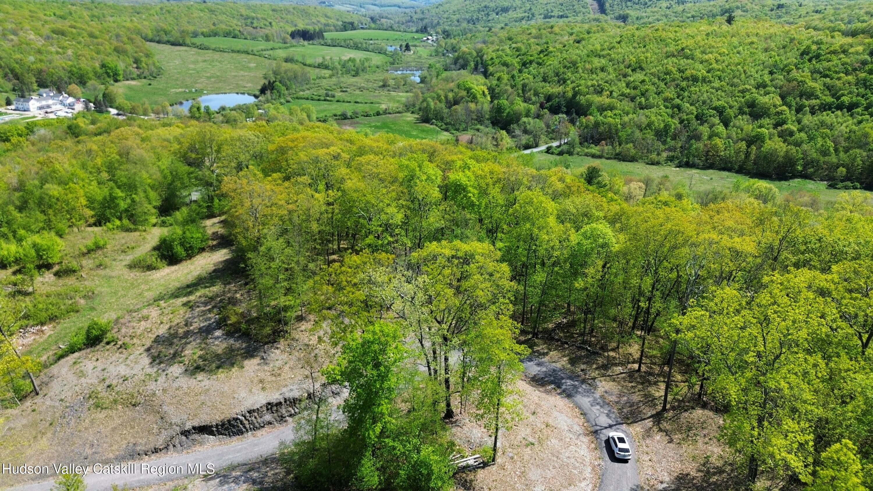 67 Taconic Creek Road Hillsdale, NY 12529 - Photo 7 of 20 a view of a forest with a house
