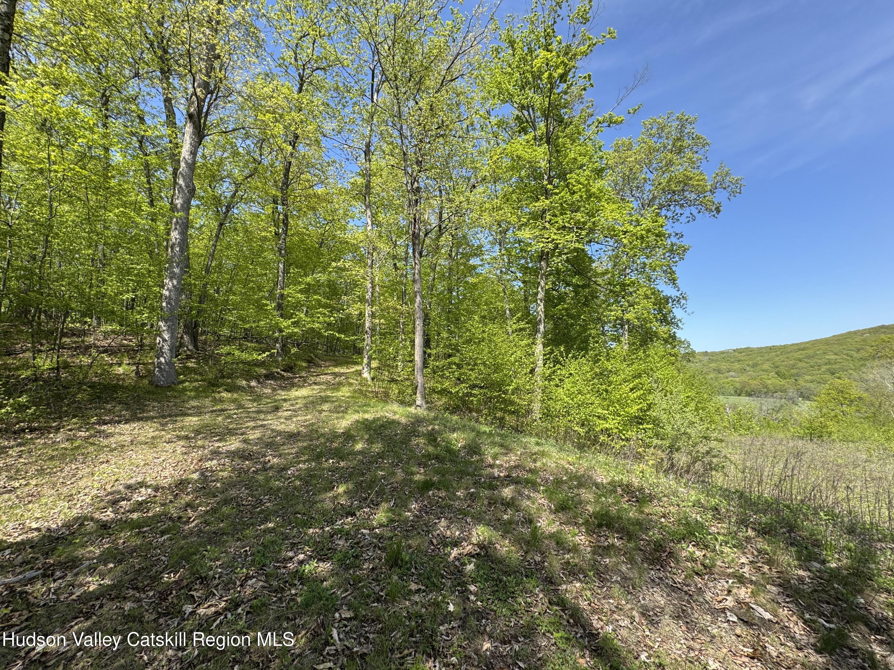67 Taconic Creek Road Hillsdale, NY 12529 - Photo 8 of 20 a view of a green yard
