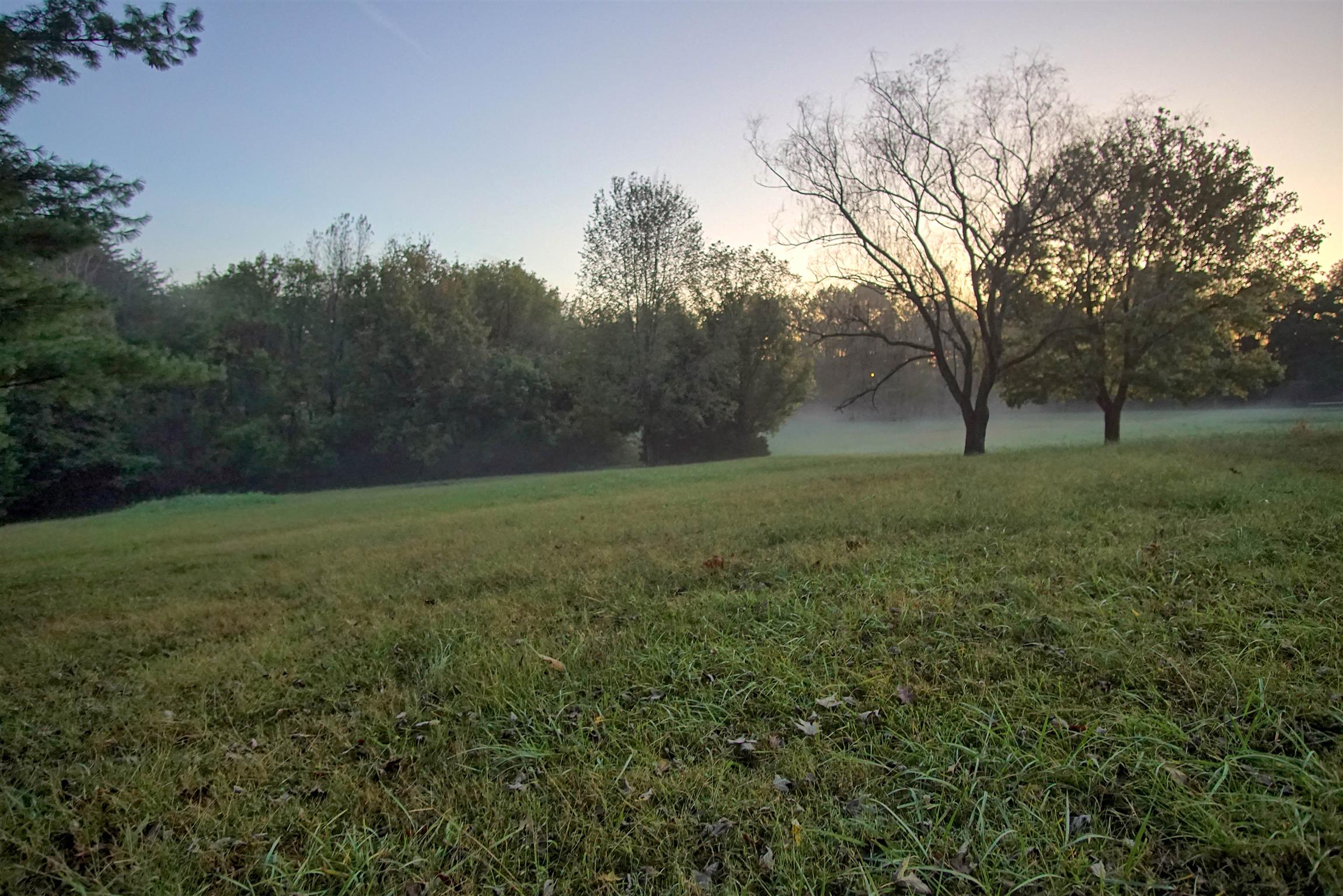 4775 Kinneys School Road Springfield, TN 37172 - Photo 3 of 17 a view of outdoor space with green field and trees all around
