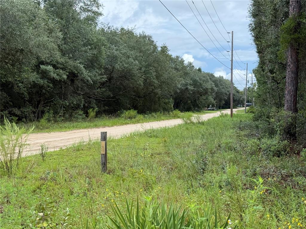 106 Jackson Avenue Interlachen, FL 32148 - Photo 13 of 27 a view of a backyard