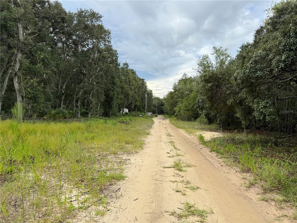 106 Jackson Avenue Interlachen, FL 32148 - Photo 15 of 27 a view of yard with swimming pool and green space