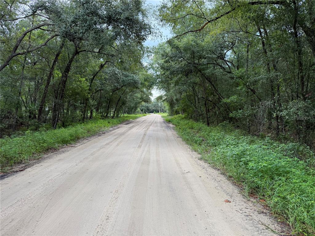 106 Jackson Avenue Interlachen, FL 32148 - Photo 16 of 27 a view of a road with a yard