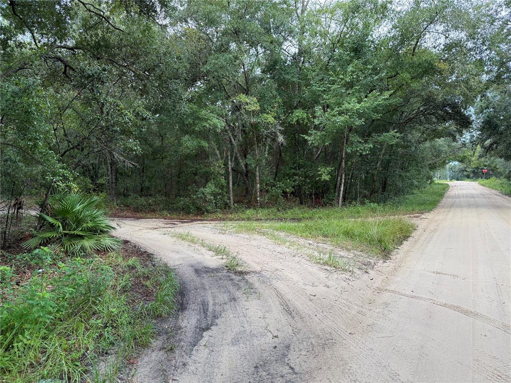 106 Jackson Avenue Interlachen, FL 32148 - Photo 18 of 27 a view of a park with trees in the background