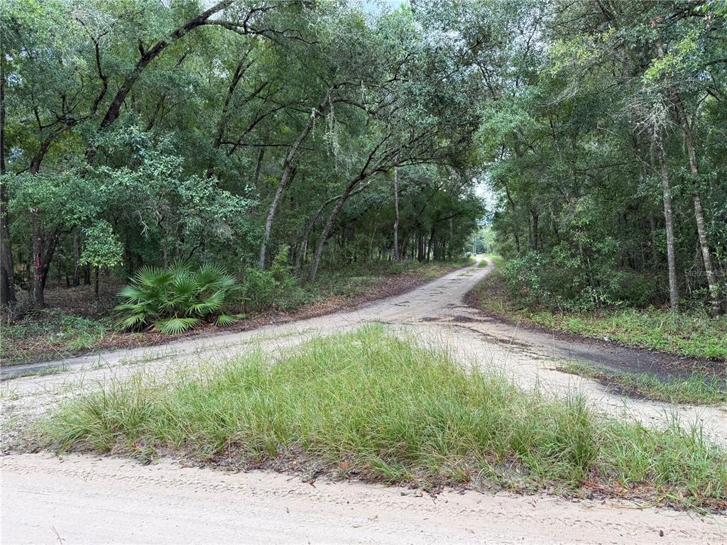 106 Jackson Avenue Interlachen, FL 32148 - Photo 19 of 27 a backyard of a house with lots of green space