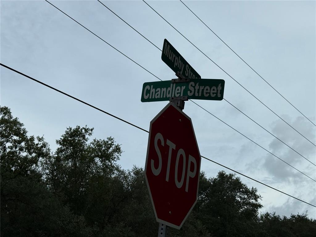 106 Jackson Avenue Interlachen, FL 32148 - Photo 20 of 27 a close up of a street sign