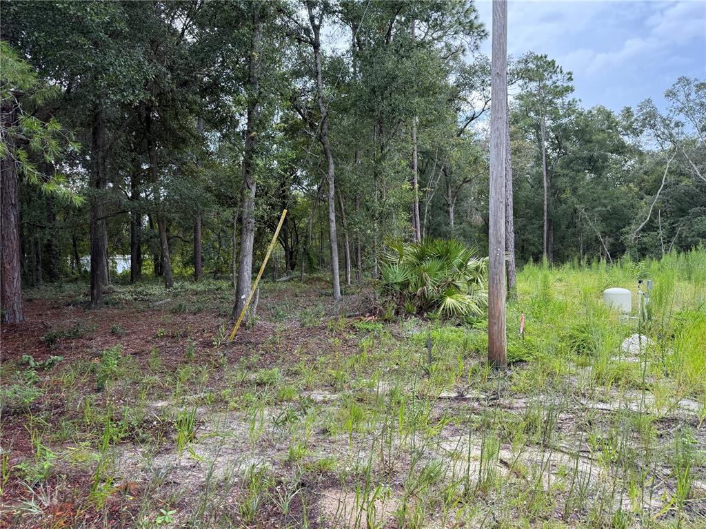 106 Jackson Avenue Interlachen, FL 32148 - Photo 2 of 27 a backyard of a house with lots of green space