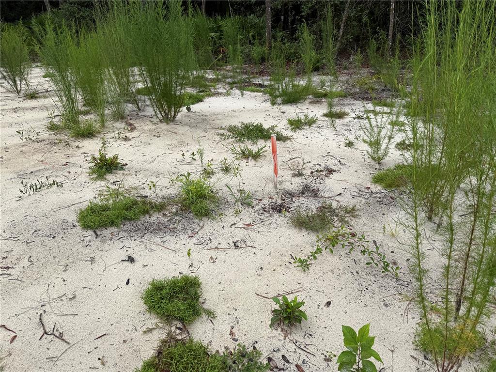 106 Jackson Avenue Interlachen, FL 32148 - Photo 8 of 27 a view of a lake with beach