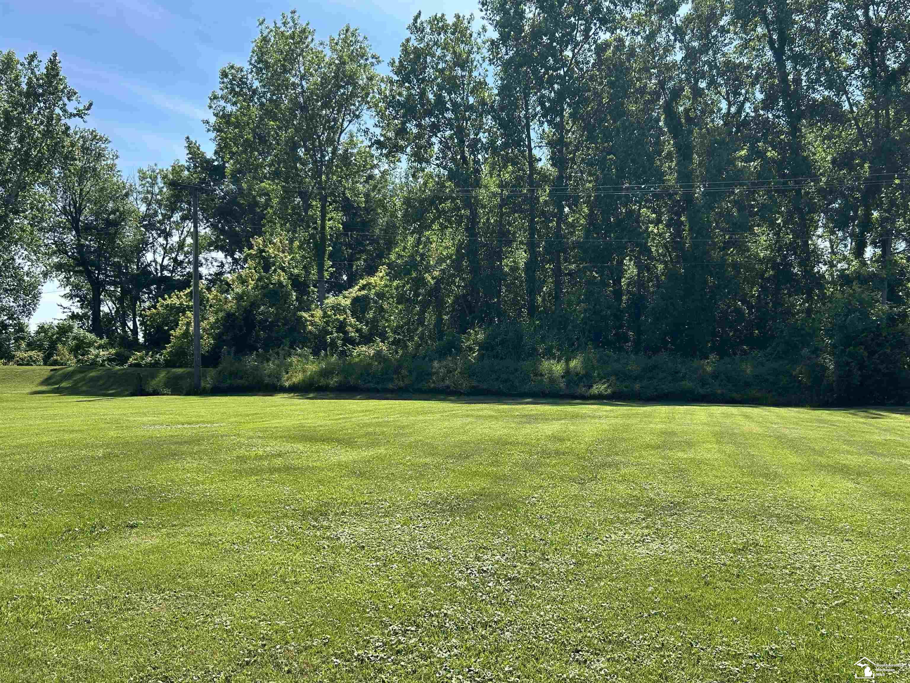 Sycamore Road Newport, MI 48166 - Photo 1 of 12 100x100 Lot