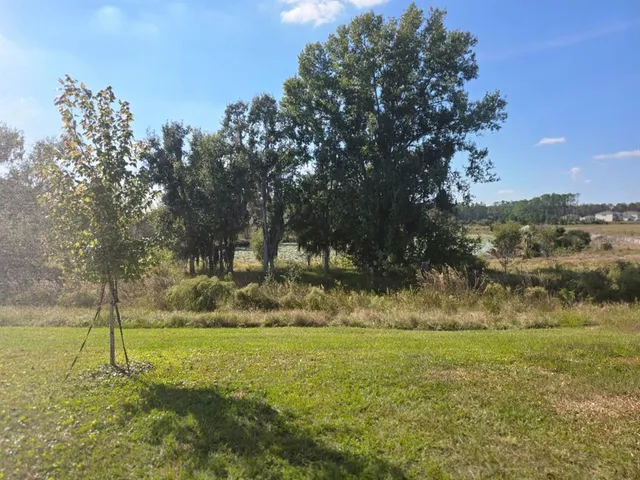 a view of a hallway with windows