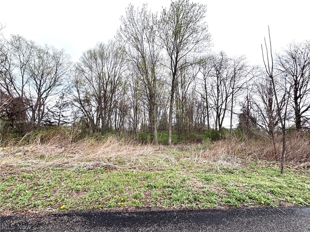 43033 North Ridge Road Elyria, OH 44035 - Photo 7 of 7 back of property