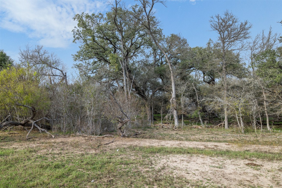 1144 Treetop Lane Luling, TX 78648 - Photo 12 of 31 a backyard of a house with lots of green space