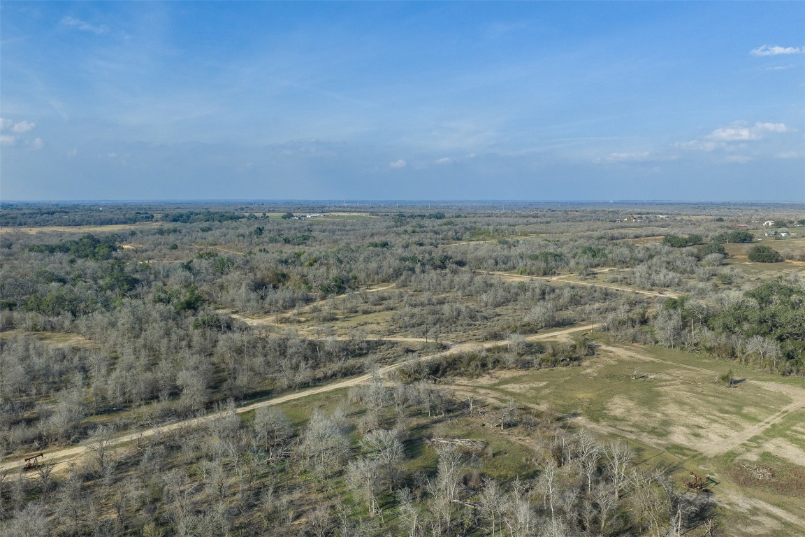 1144 Treetop Lane Luling, TX 78648 - Photo 24 of 31 Aerial view of property's location with a forest