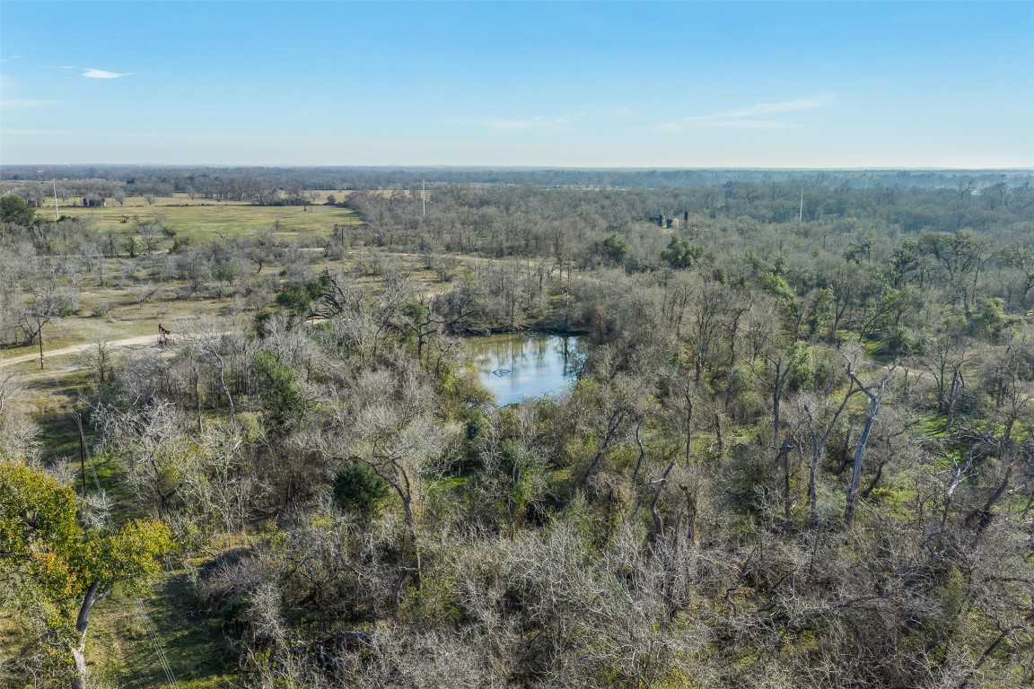 1144 Treetop Lane Luling, TX 78648 - Photo 3 of 31 Bird's eye view of a heavily wooded area and a nearby body of water