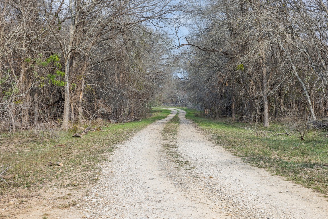 1144 Treetop Lane Luling, TX 78648 - Photo 9 of 31 a view of a dry yard with trees
