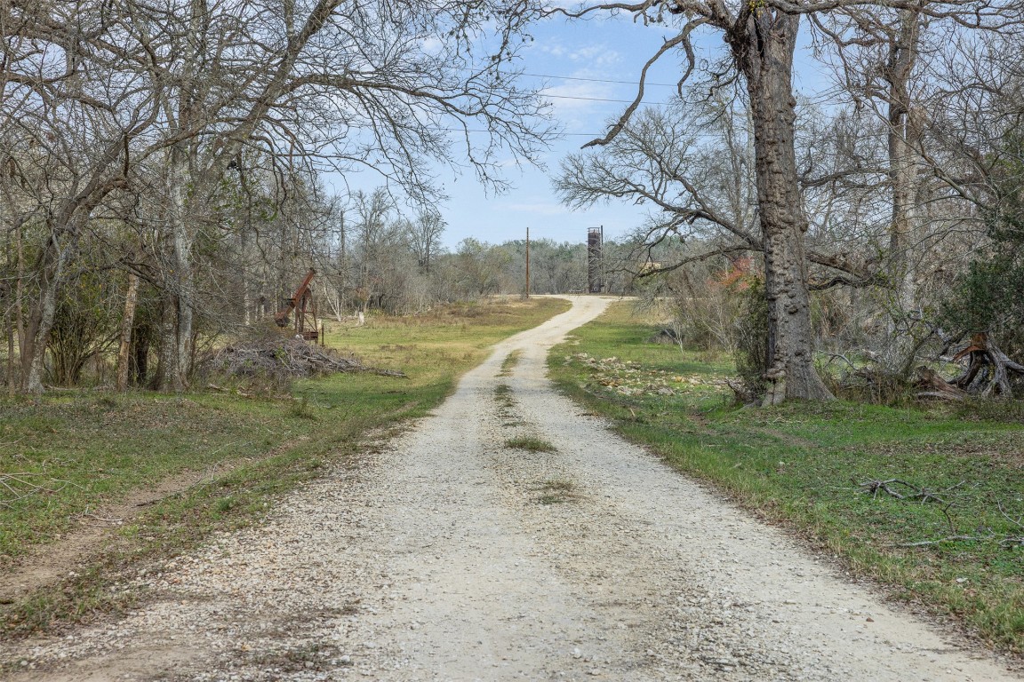 1144 Treetop Lane Luling, TX 78648 - Photo 10 of 31 a view of a dirt road with large trees