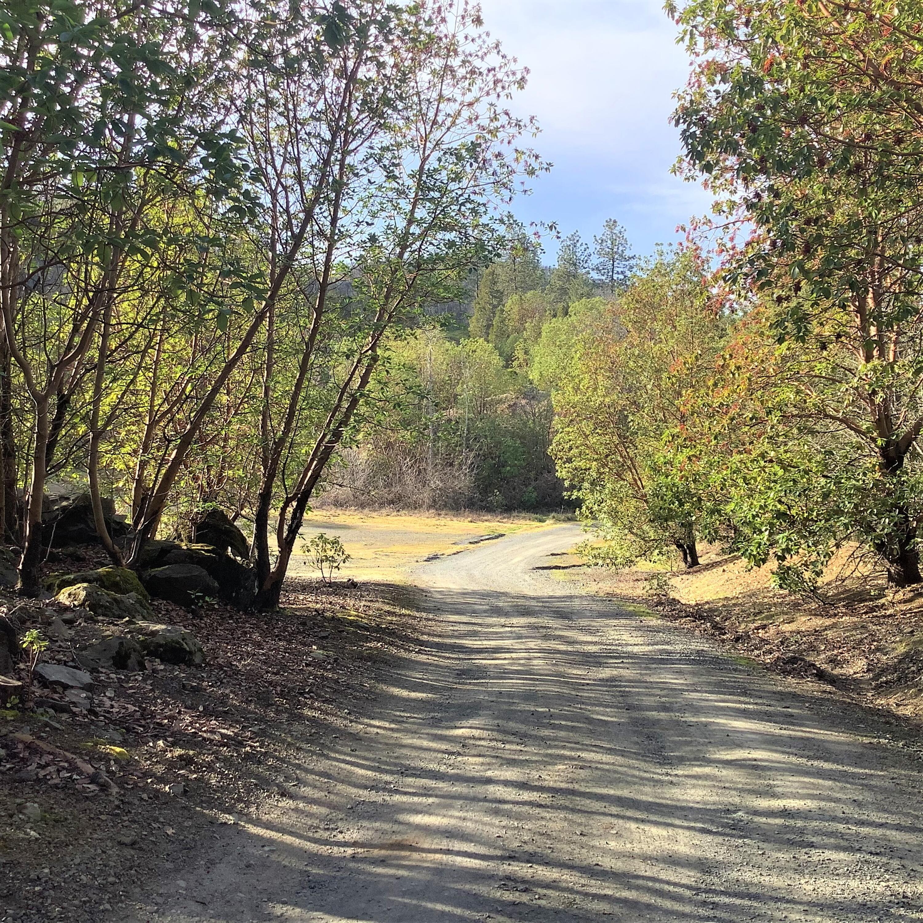 7017 Dark Hollow Road Medford, OR 97501 - Photo 61 of 74 7017easement