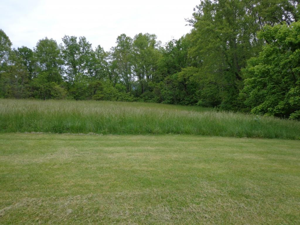 165 Pierce Branch Road Elizabethton, TN 37643 - Photo 2 of 13 Photo 2