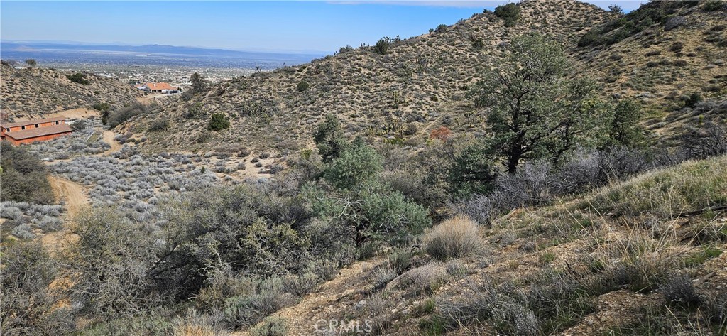 8243 Simson Road Pinon Hills, CA 92372 - Photo 12 of 33