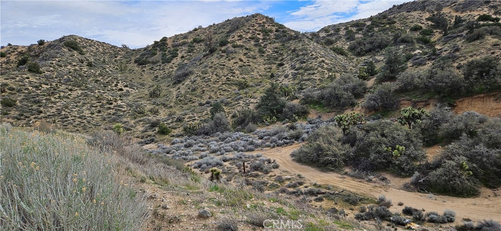 8243 Simson Road Pinon Hills, CA 92372 - Photo 19 of 33 a view of a large building with mountain view