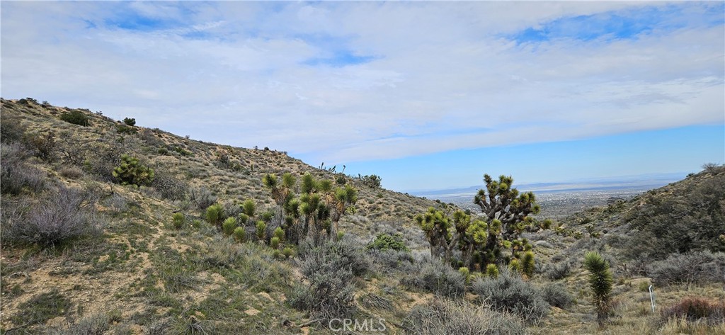 8243 Simson Road Pinon Hills, CA 92372 - Photo 21 of 33 a view of a large building with trees in the background