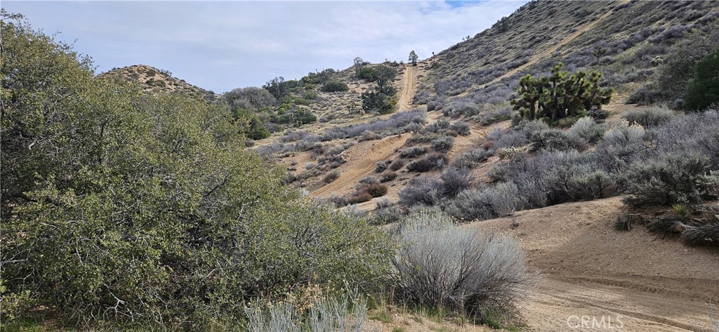 8243 Simson Road Pinon Hills, CA 92372 - Photo 22 of 33 a view of a dry yard