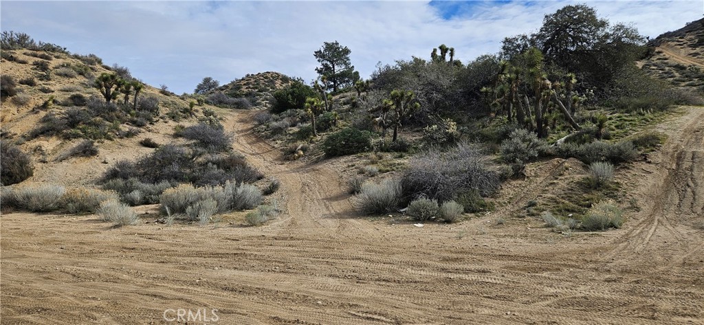 8243 Simson Road Pinon Hills, CA 92372 - Photo 23 of 33 a view of a dry field