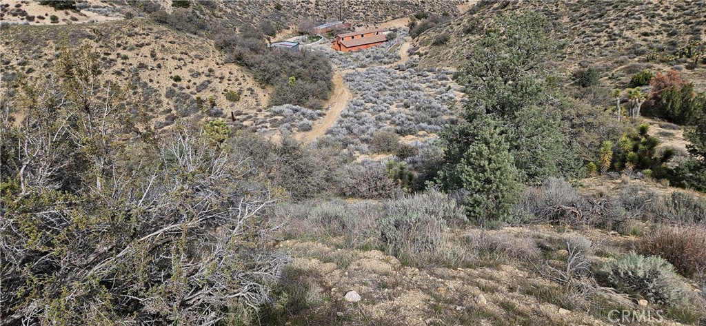 8243 Simson Road Pinon Hills, CA 92372 - Photo 24 of 33