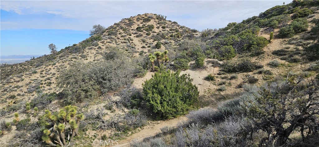 8243 Simson Road Pinon Hills, CA 92372 - Photo 27 of 33 a view of a large building with a mountain in the background
